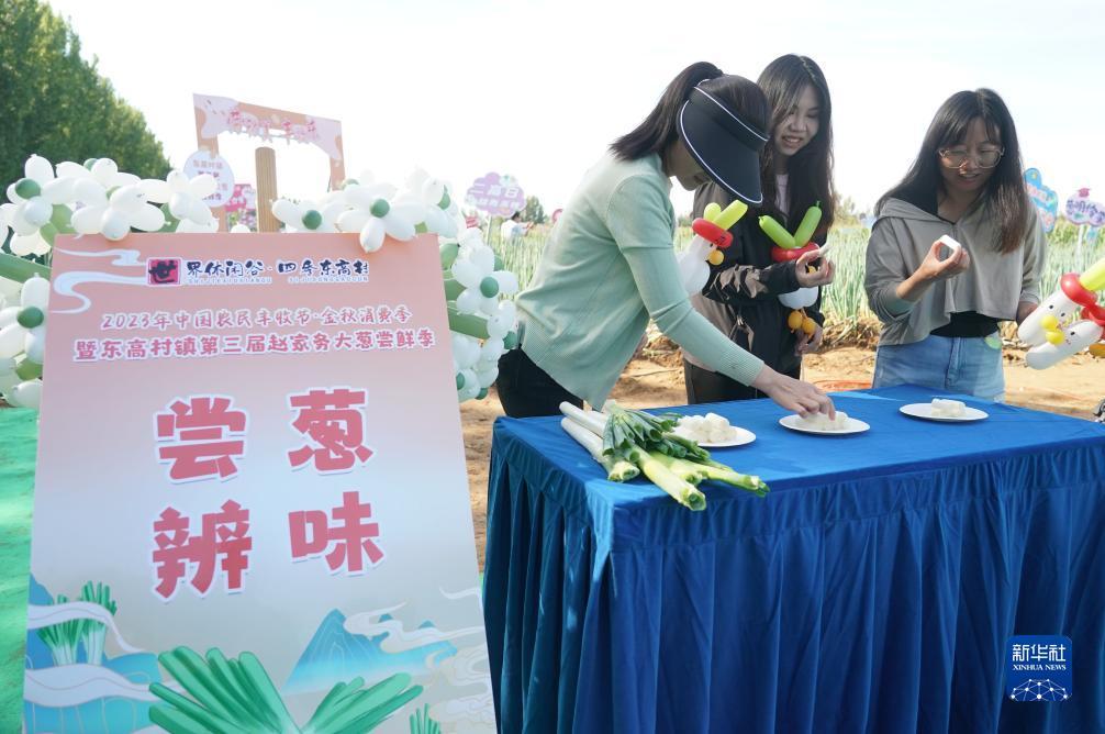 易博国际网址